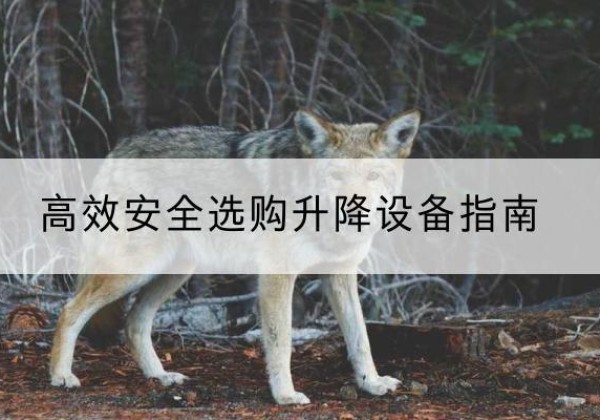 新野升降货梯厂家推荐-*安全选购升降设备指南
