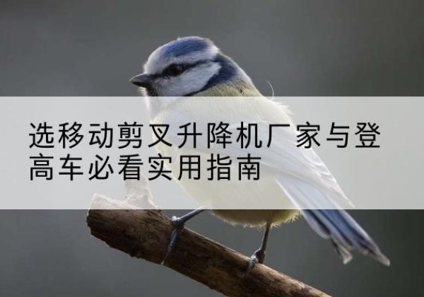 新野电动升降机厂家-选移动剪叉升降机厂家与登高车必看实用指南