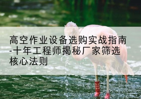 新野剪叉式升降机厂家-高空作业设备选购实战指南-十年工程师揭秘厂家筛选核心法则